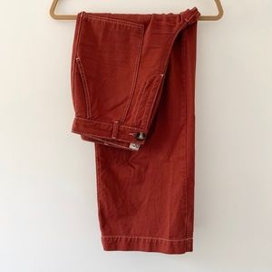 BDG Carpenter Pants Rust Size 29